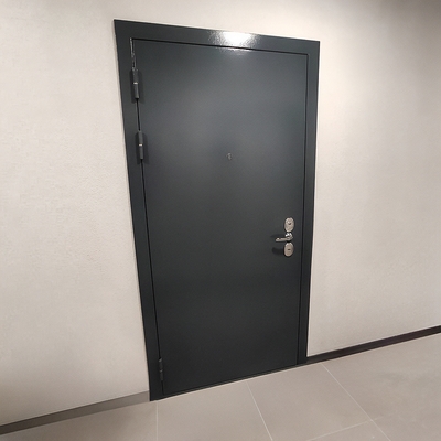 Порошковая дверь в квартиру Порошковая дверь в квартиру